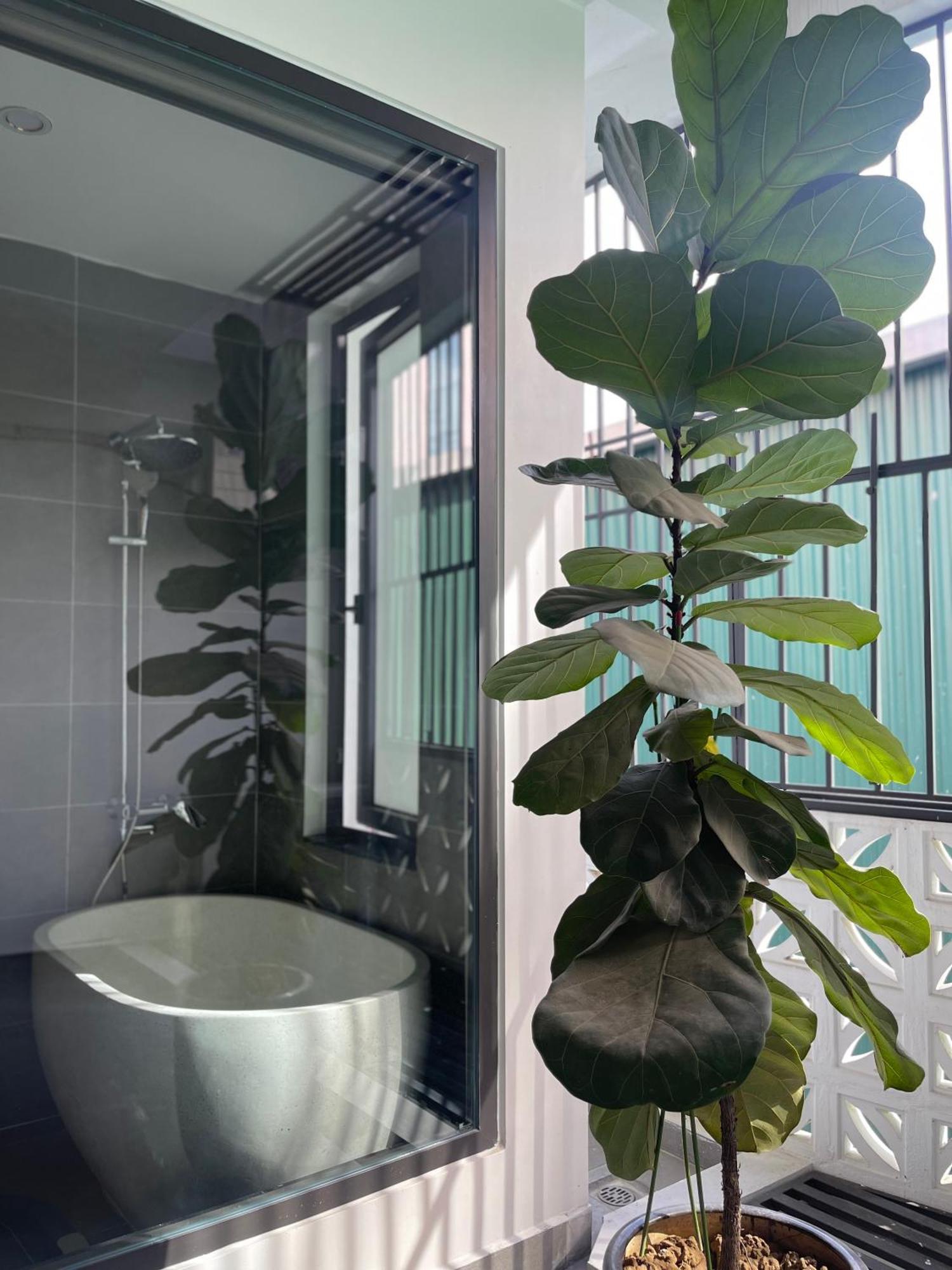 Alala Homestay- Tuyen Quang City Center- Trung Tam Thanh Pho Tuyen Quang Extérieur photo